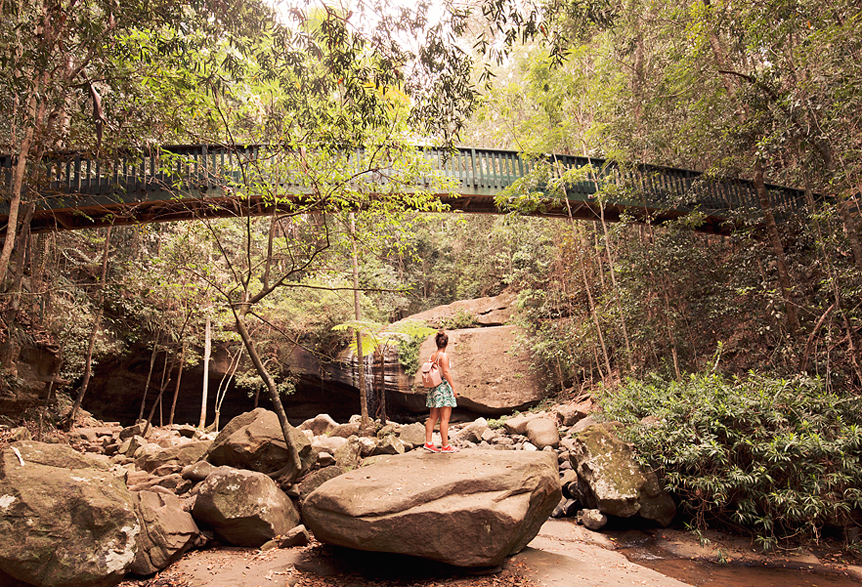 Travel Throwback Thursday: Buderim Forest Park