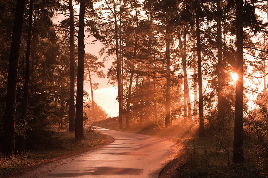 Raukar i soluppgång på Gotland