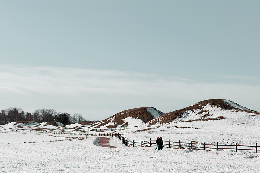 Gamla Uppsala högar på vintern​