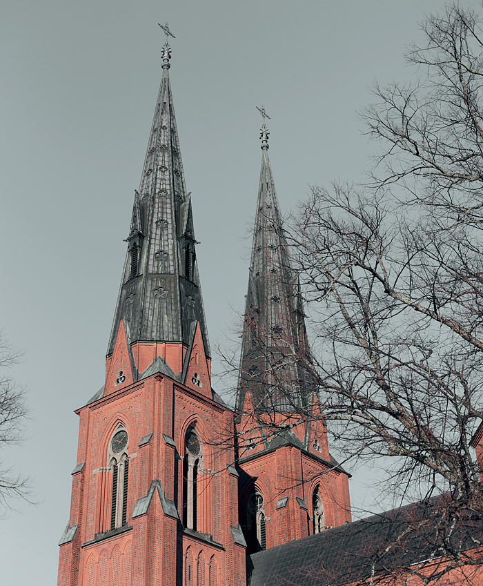 Uppsala domkyrka​