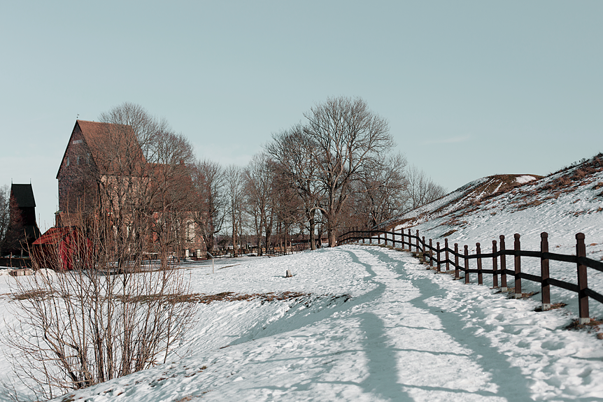 Gamla Uppsalas högar på vintern​