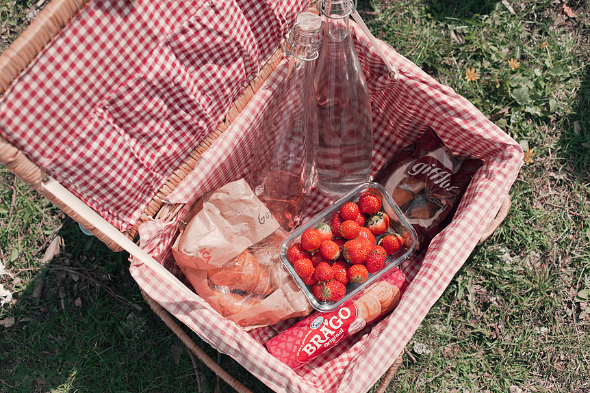Picknick i Trosa