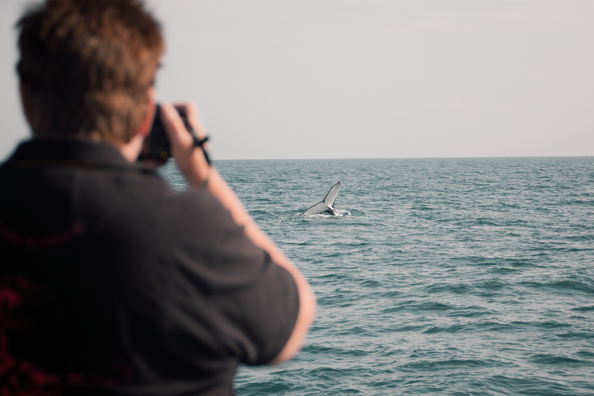 Travel Throwback Thursday: Hervey Bay 2016