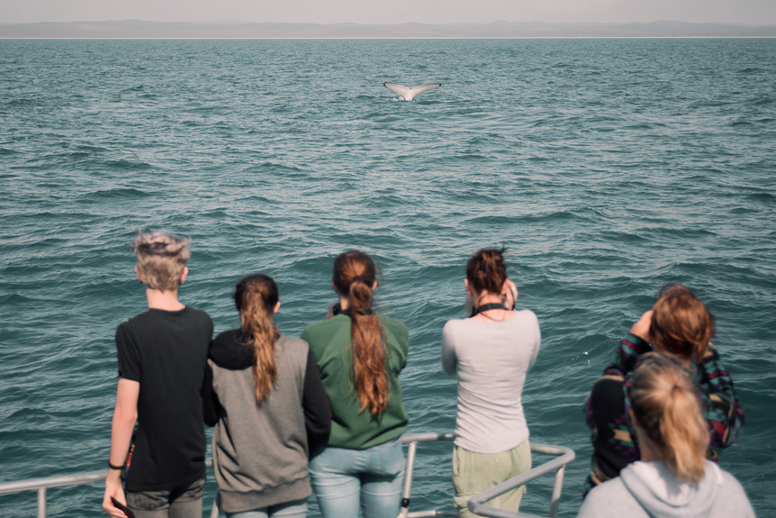 Travel Throwback Thursday: Hervey Bay 2016