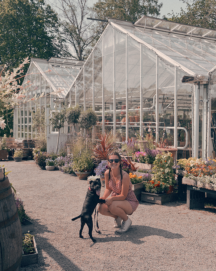 Instagramvänliga Rosendals Trädgård i Stockholm