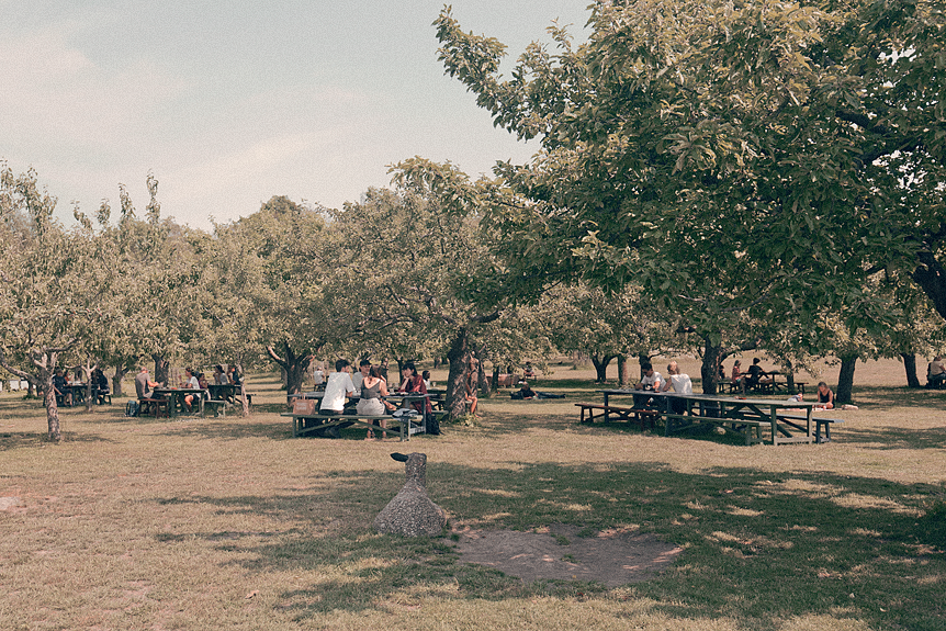 Picknick på Djurgården i Stockholm