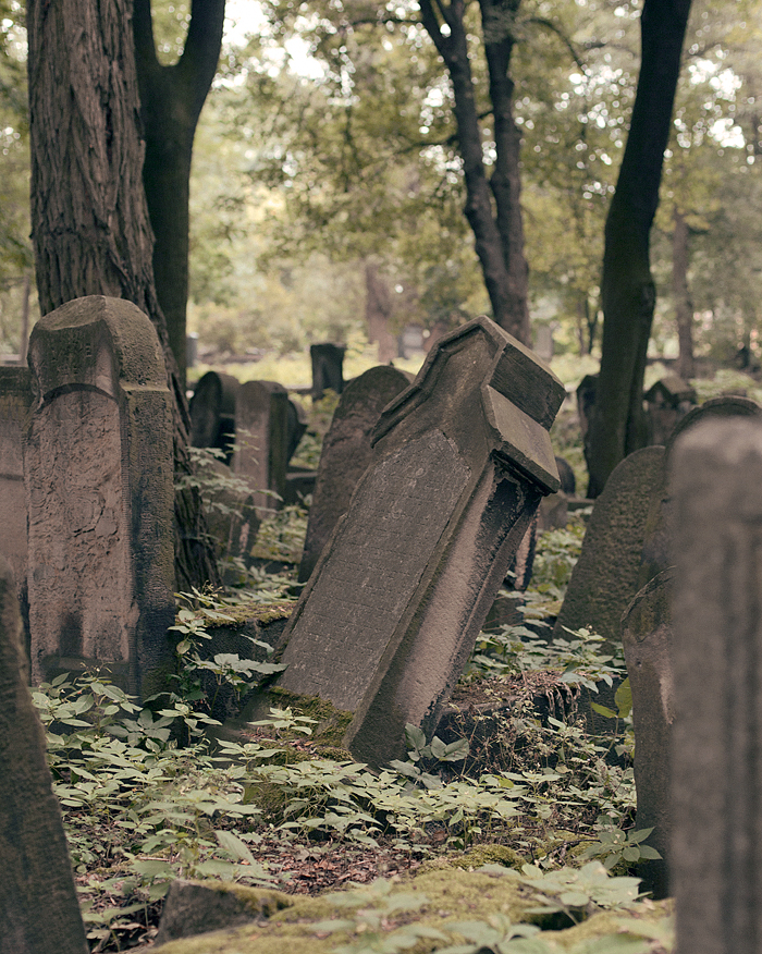 Den nya judiska kyrkogården i Kazimierz