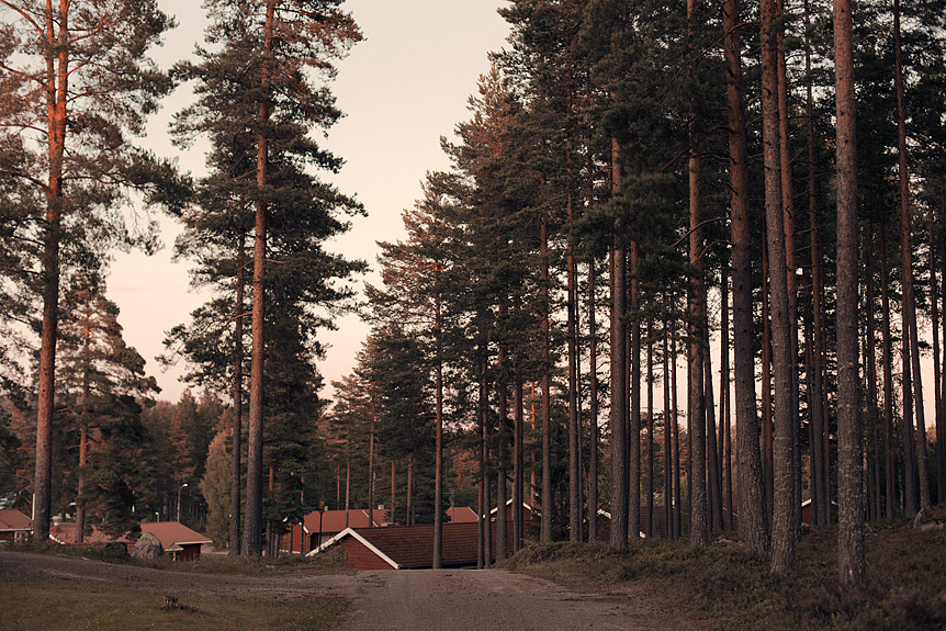 Långpromenad i skogen