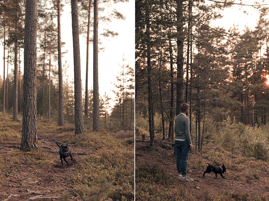 Långpromenad i skogen