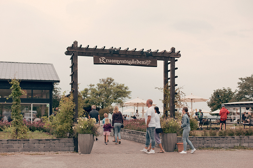 Krusmyntagården​