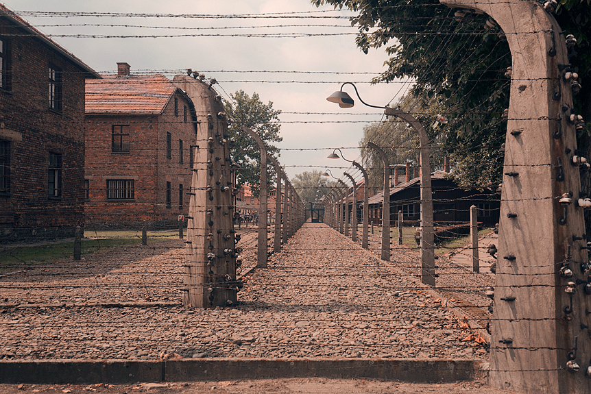 Guidad tur på Auschwitz