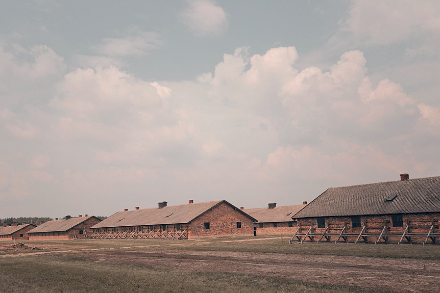 Guidad tur på Birkenau