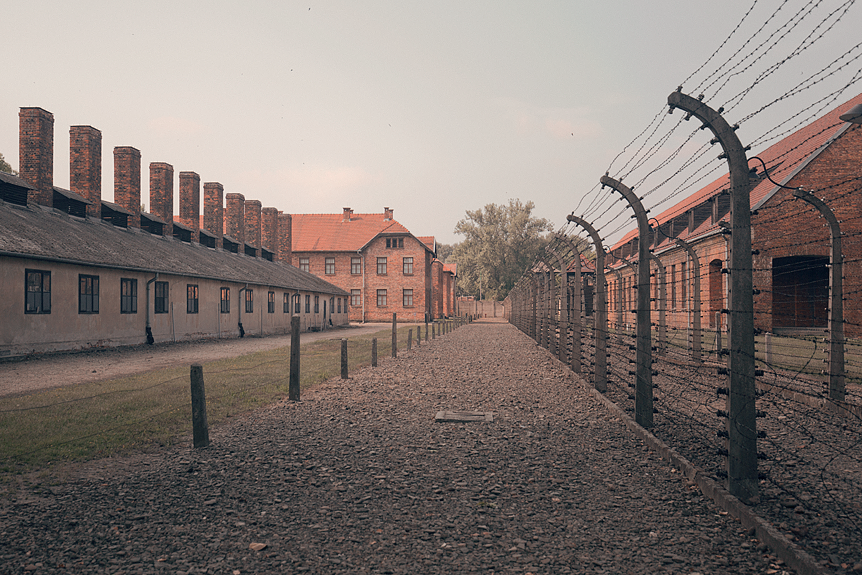 Guidad tur på Auschwitz