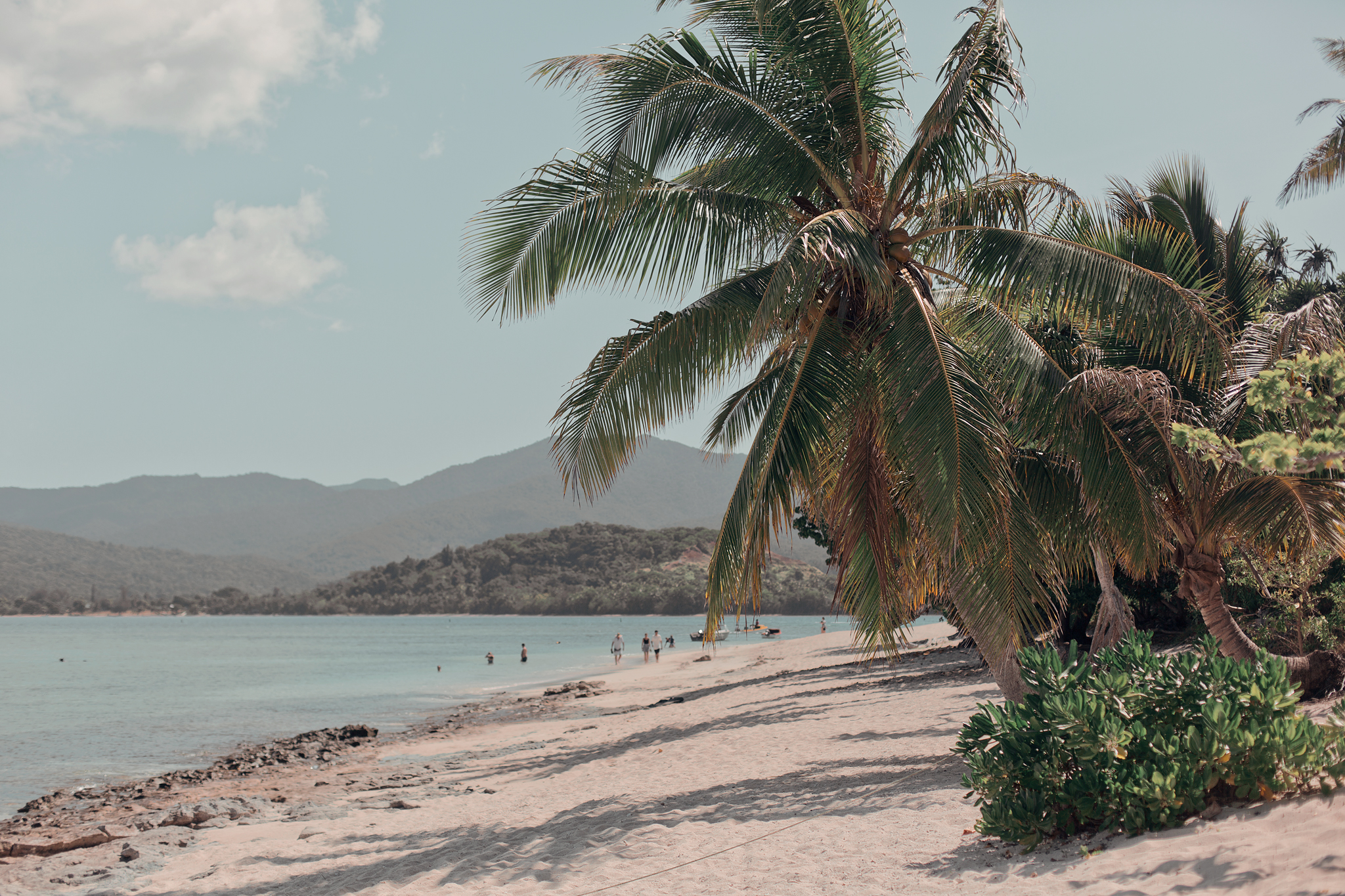 En strand med palmer på Mystery Island i Vanuatu