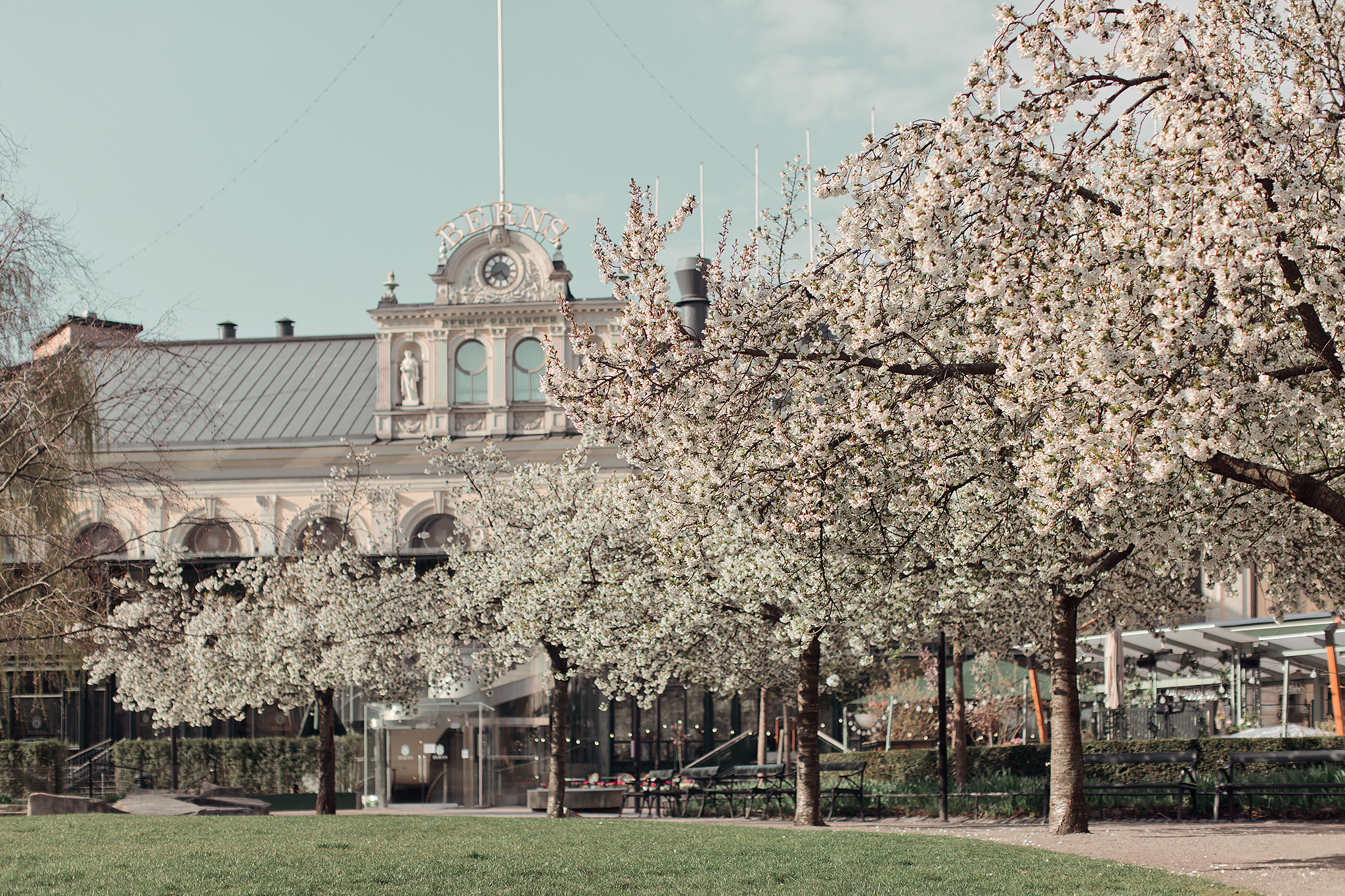14 mysiga platser att ha picknick på i Stockholm