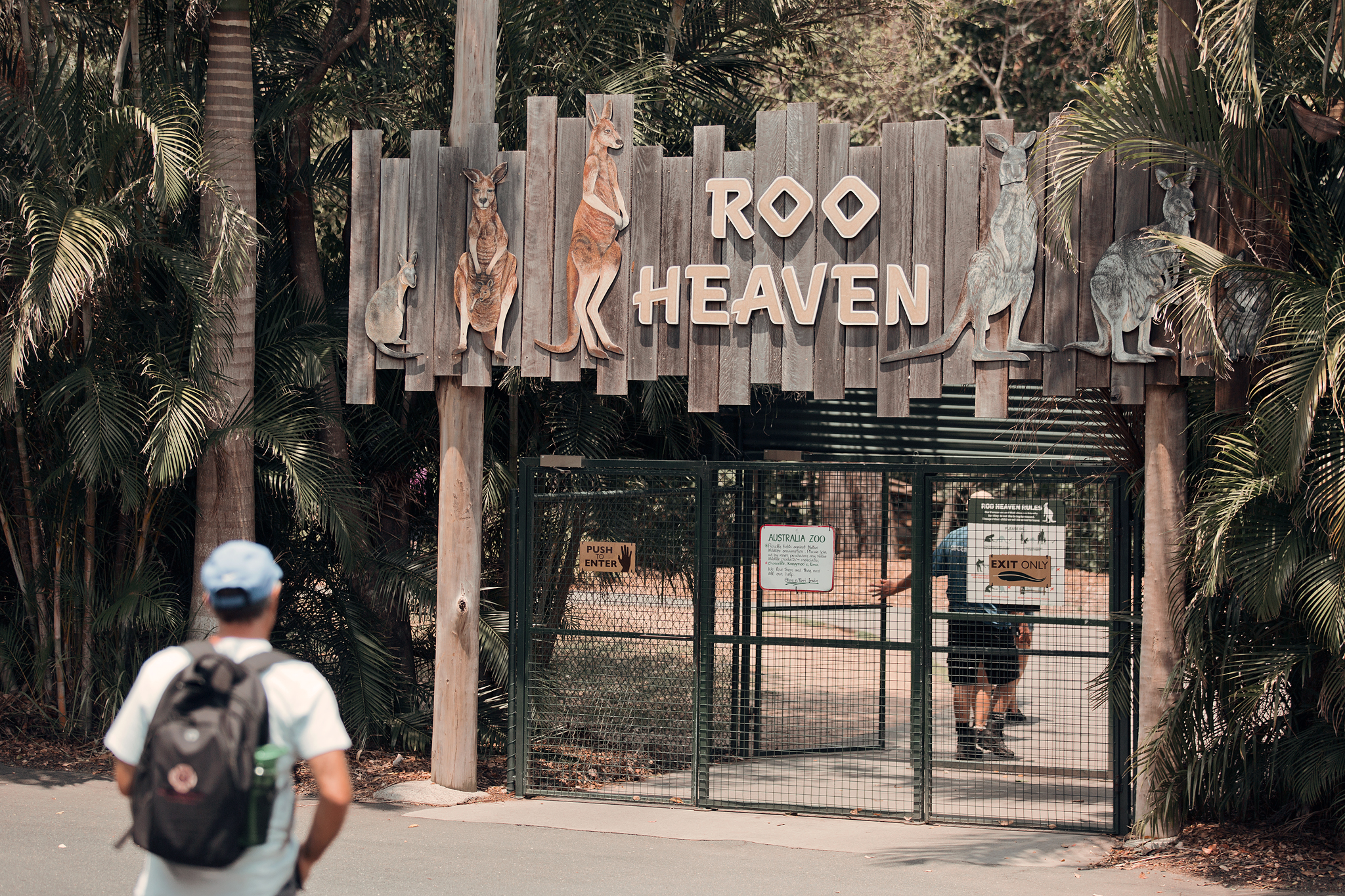 Heldag på Australia Zoo i Sunshine Coast