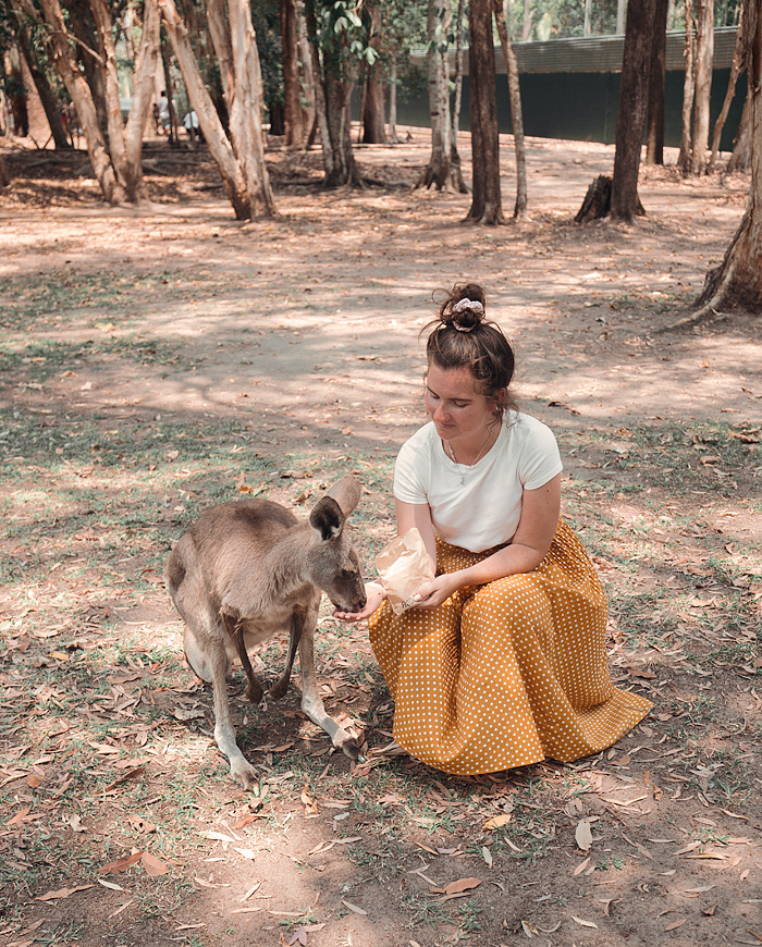 Heldag på Australia Zoo i Sunshine Coast