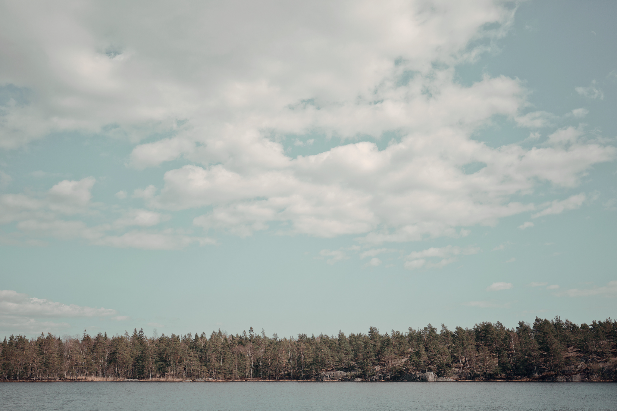 Vandra i Tyresta naturreservat i Stockholm
