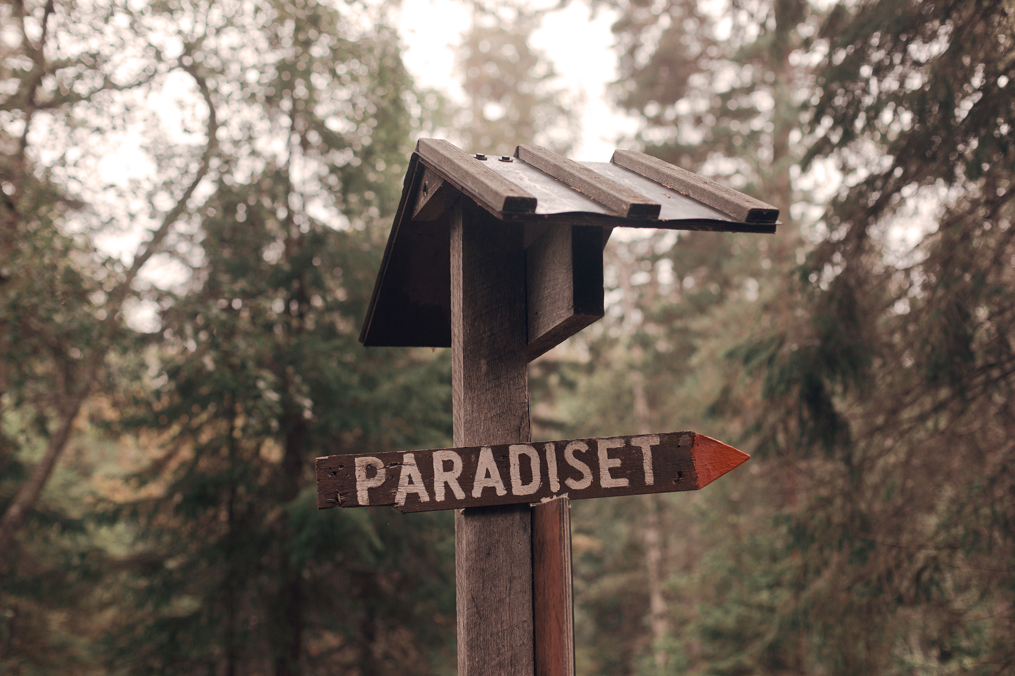 Vandra i Paradiset naturreservat i Stockholm