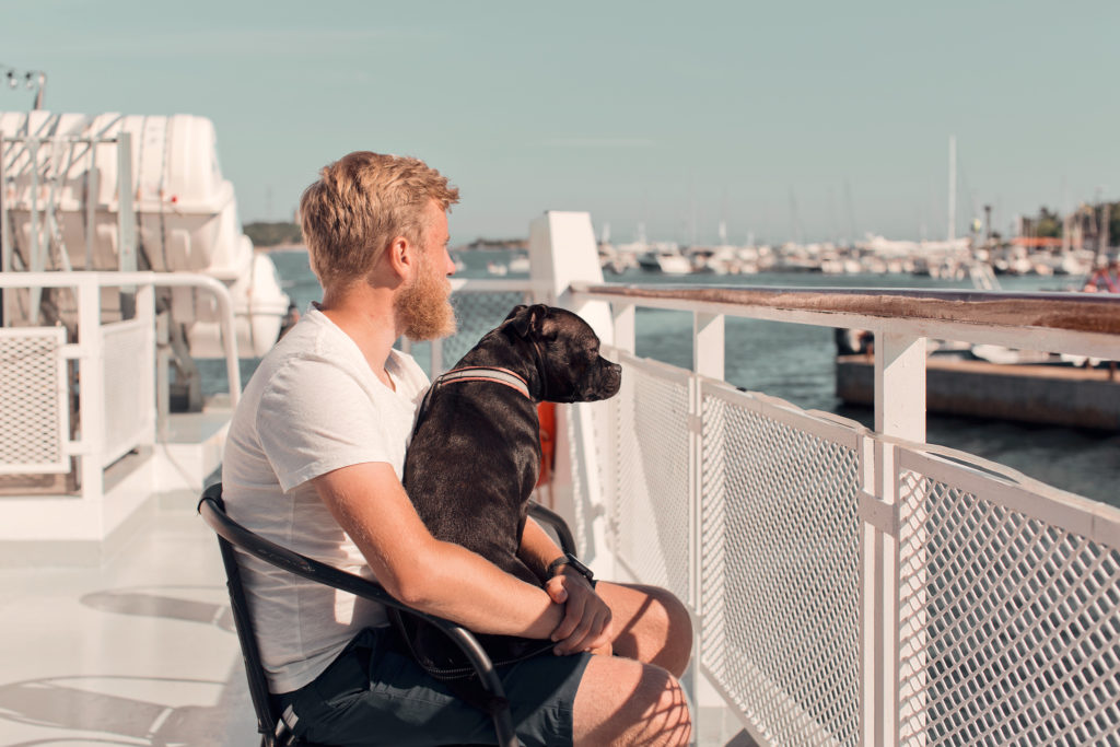 Resa med hund på båt i skärgården