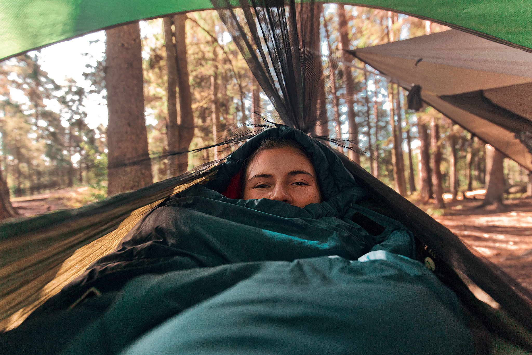 Sova i hängmatta i Tyresta Nationalpark