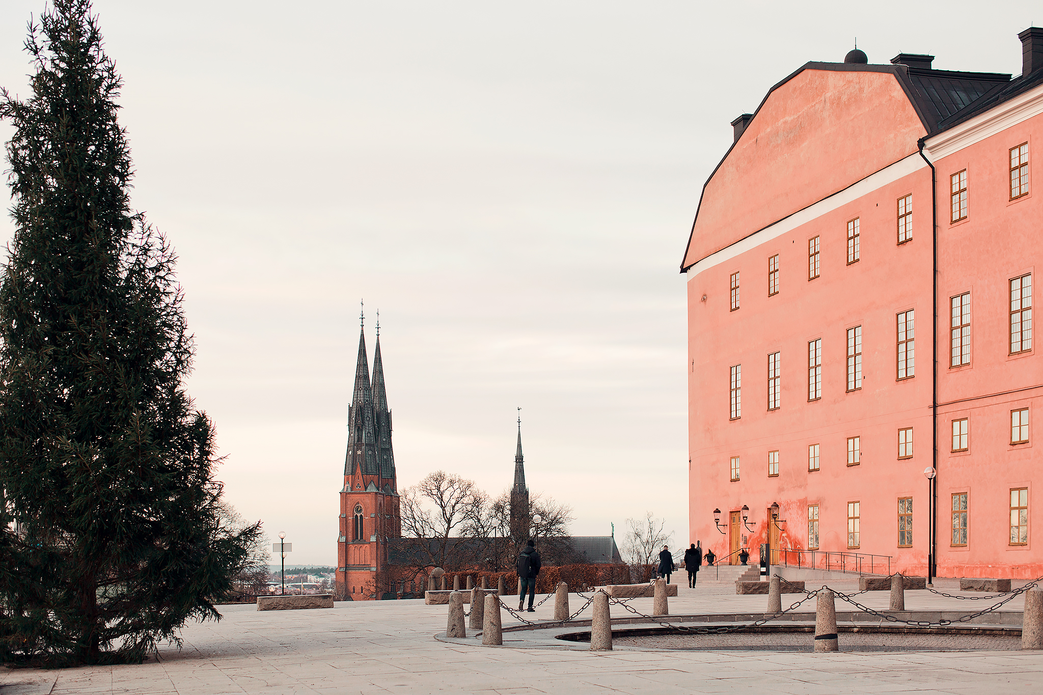 Uppsala slott​