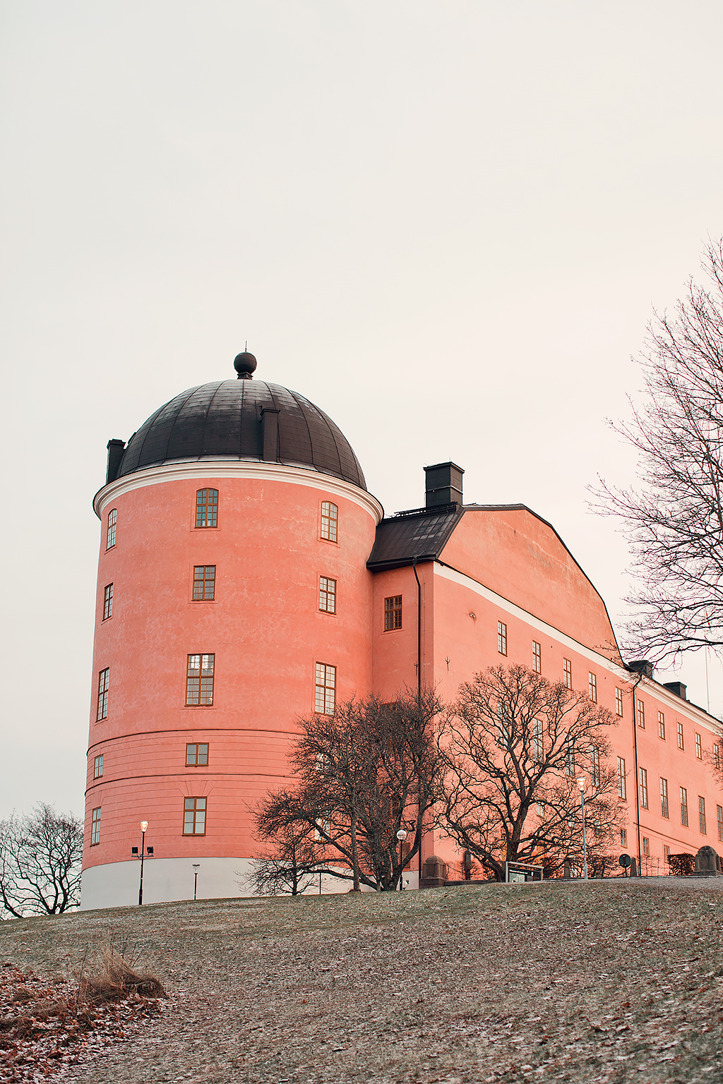 Uppsala slott​