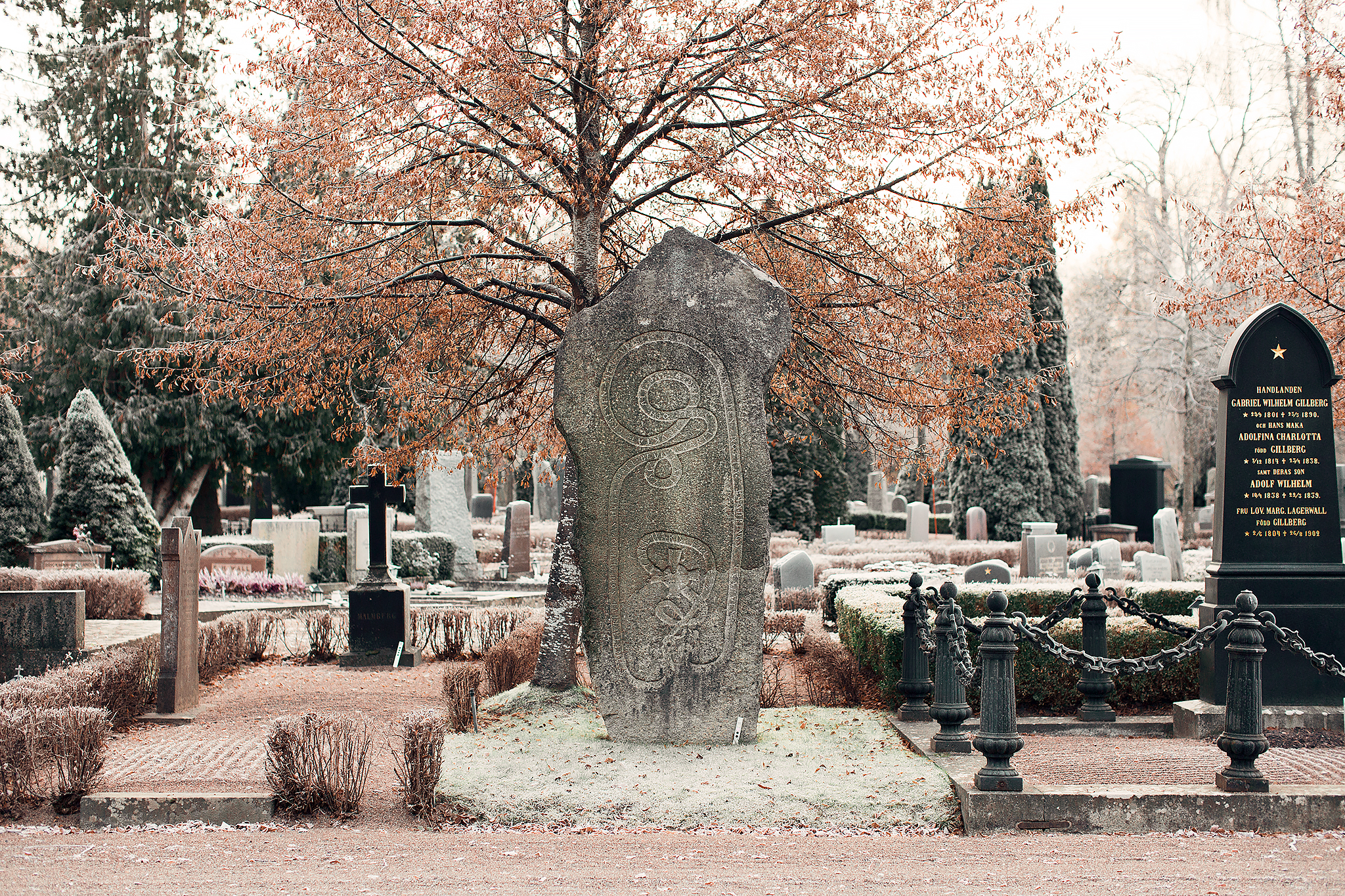 Gamla kyrkogården i Uppsala på vintern