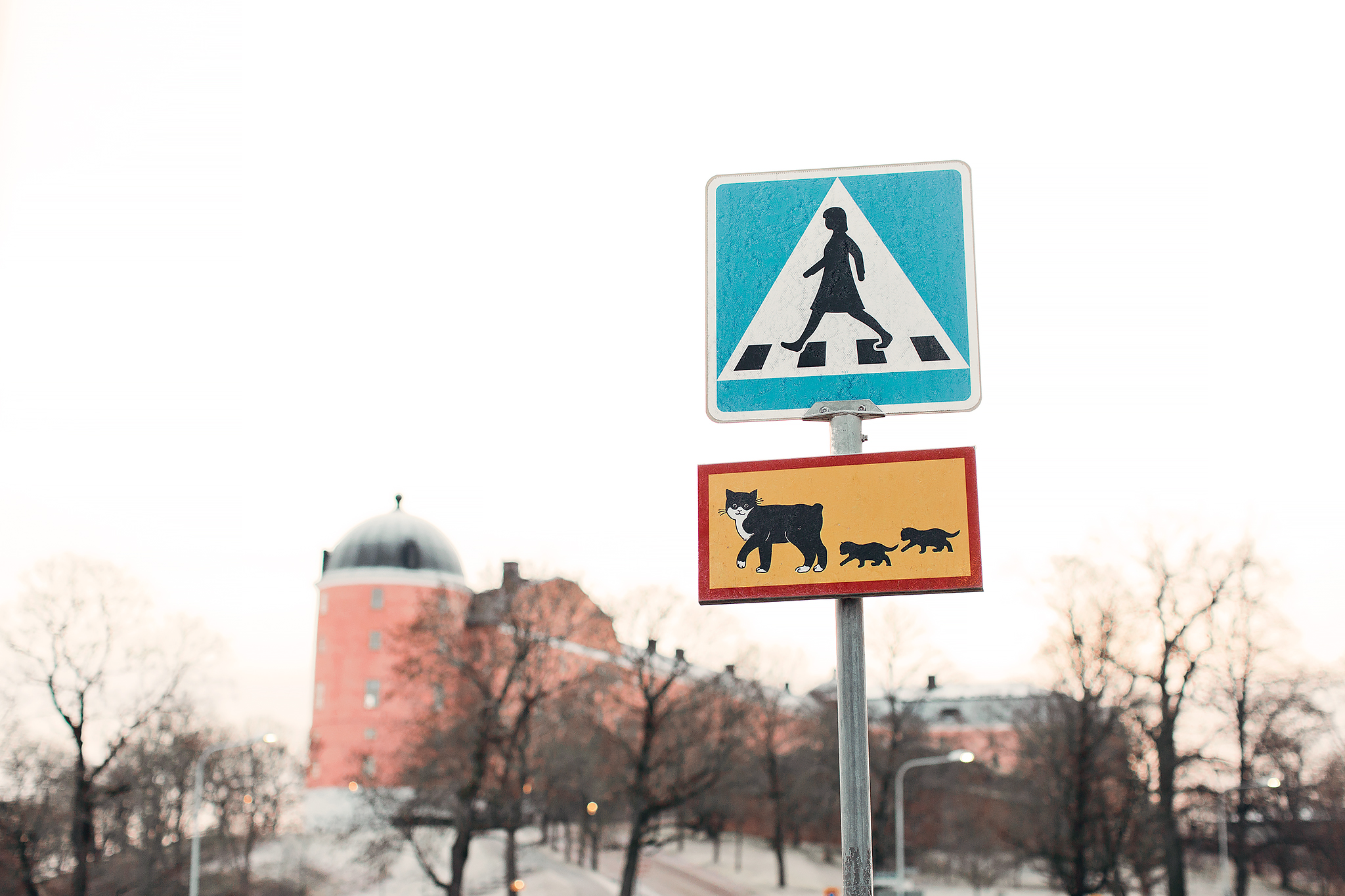 Pelle Svanslös-promenad i Uppsala