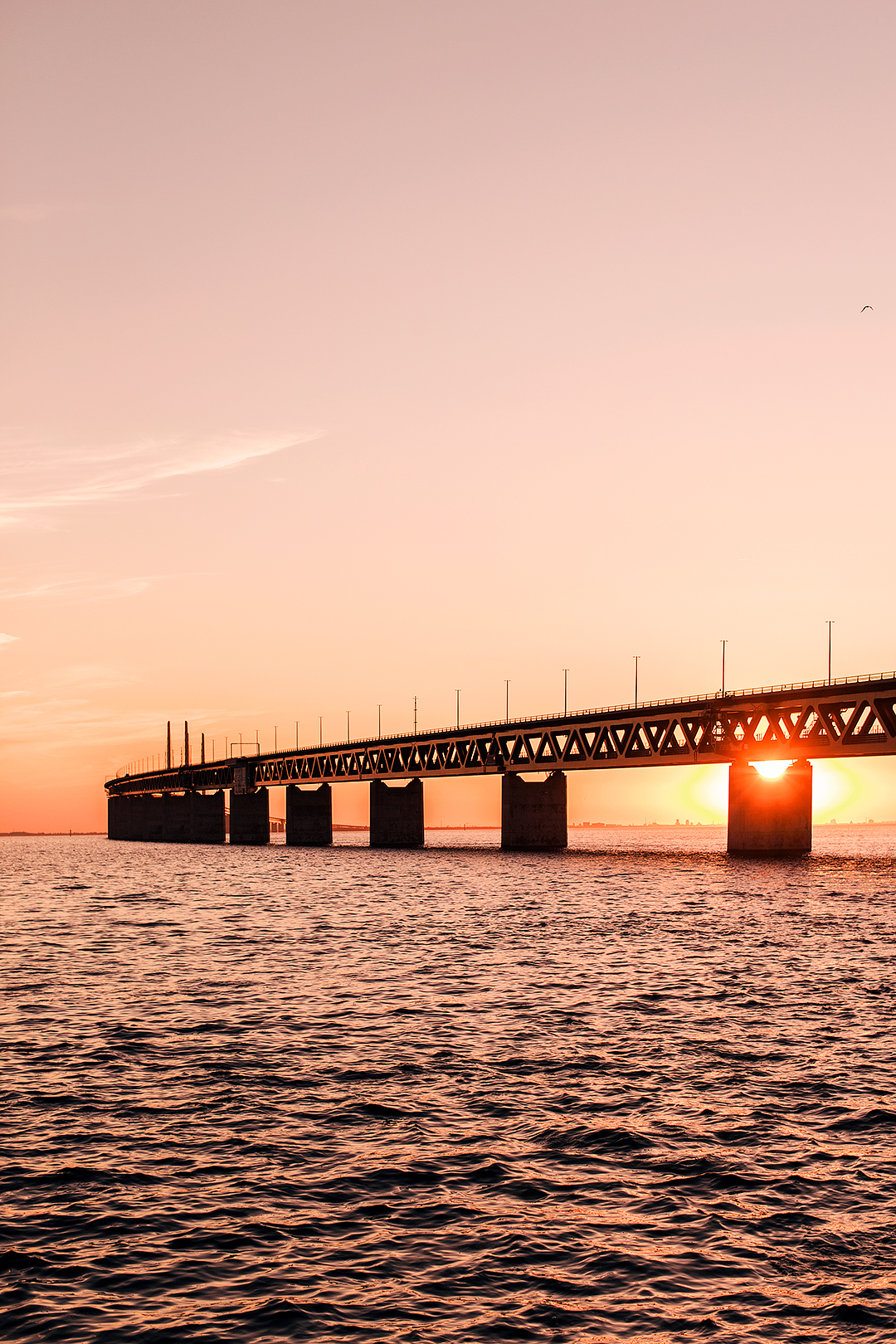 Solnedgång över Öresundsbron​