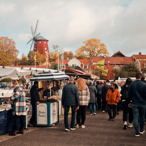 Båtsightseeing i Malmö | Resedagbok