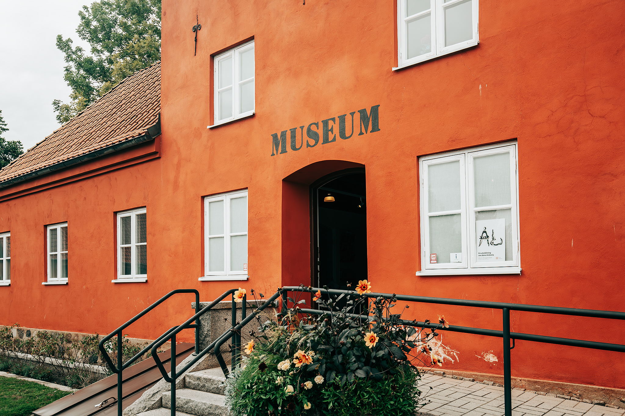 Utställning om ålar på Regionsmuseet i Åhus