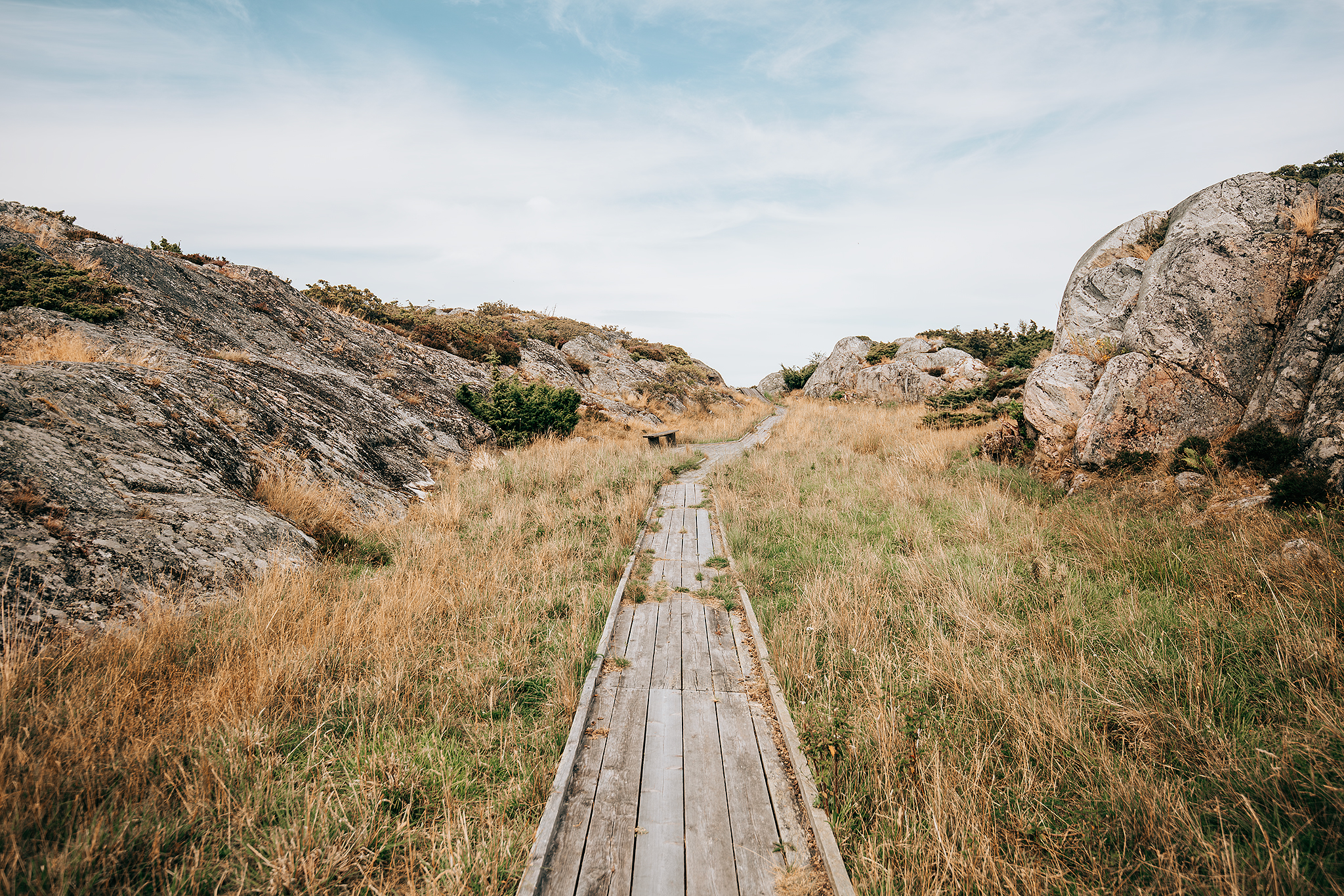 Bullerö naturreservat på Tusen öars kryssning i Stockholms skärgård