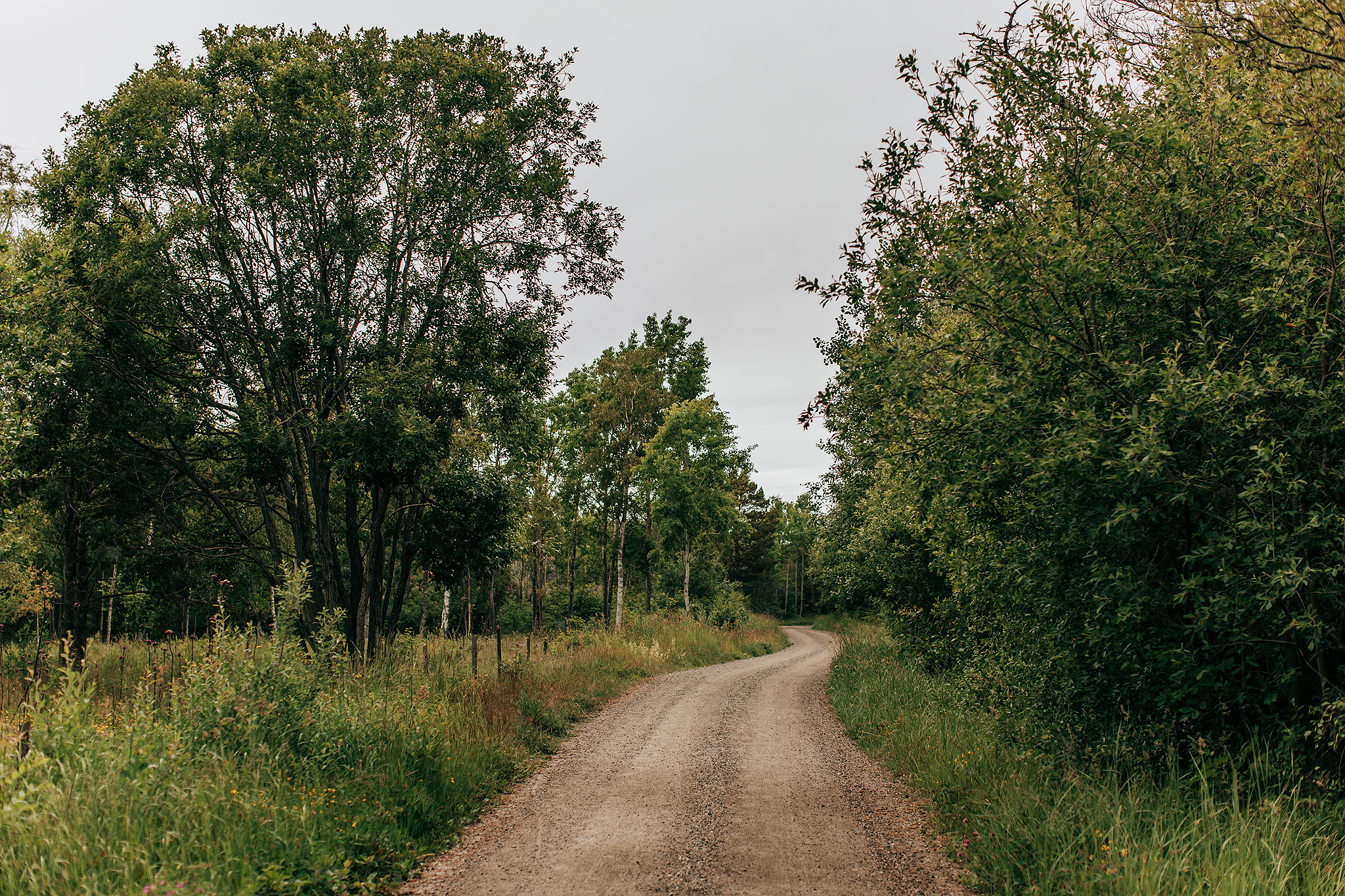 Promenad över Landsort