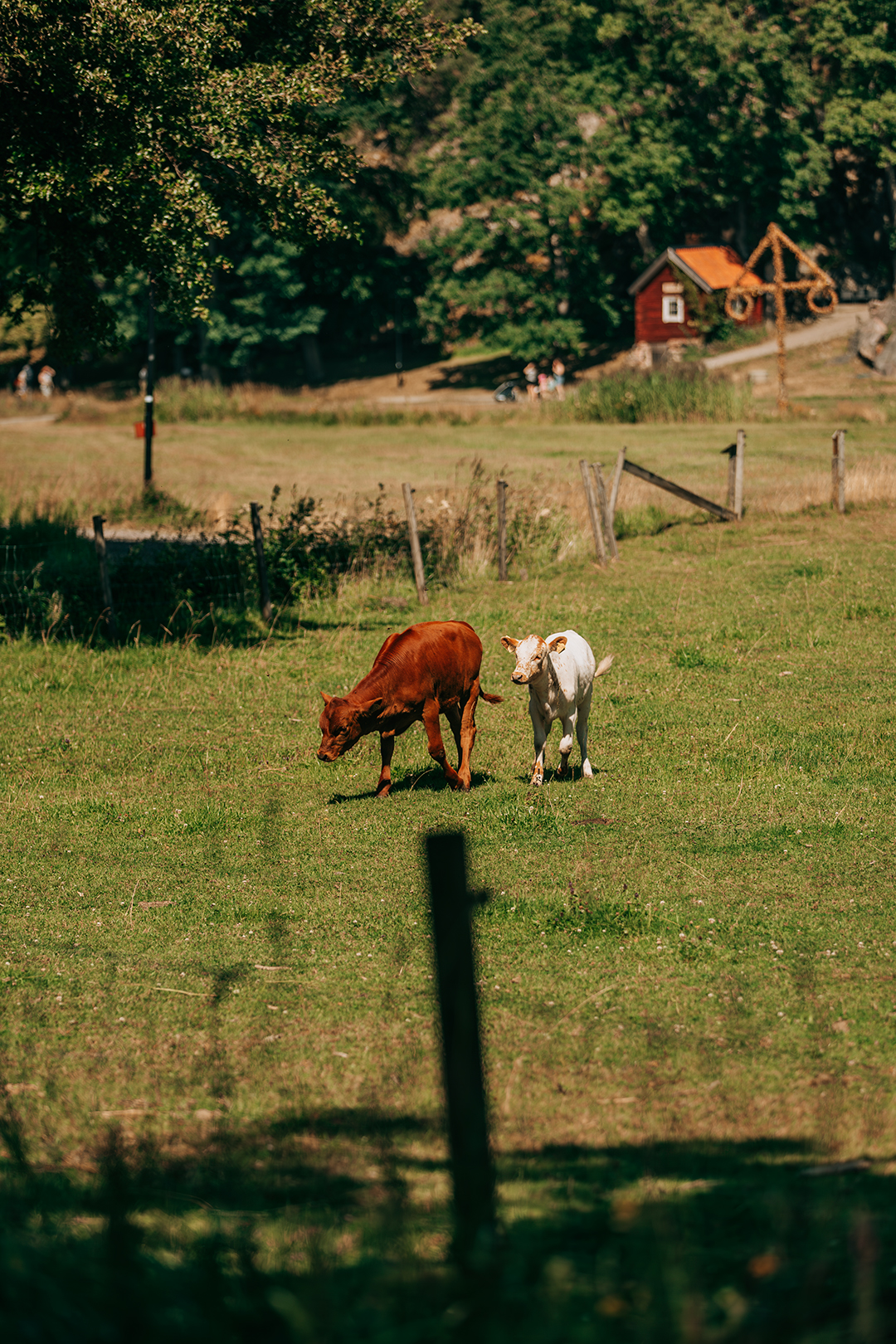 Skärgårdsön Grinda​