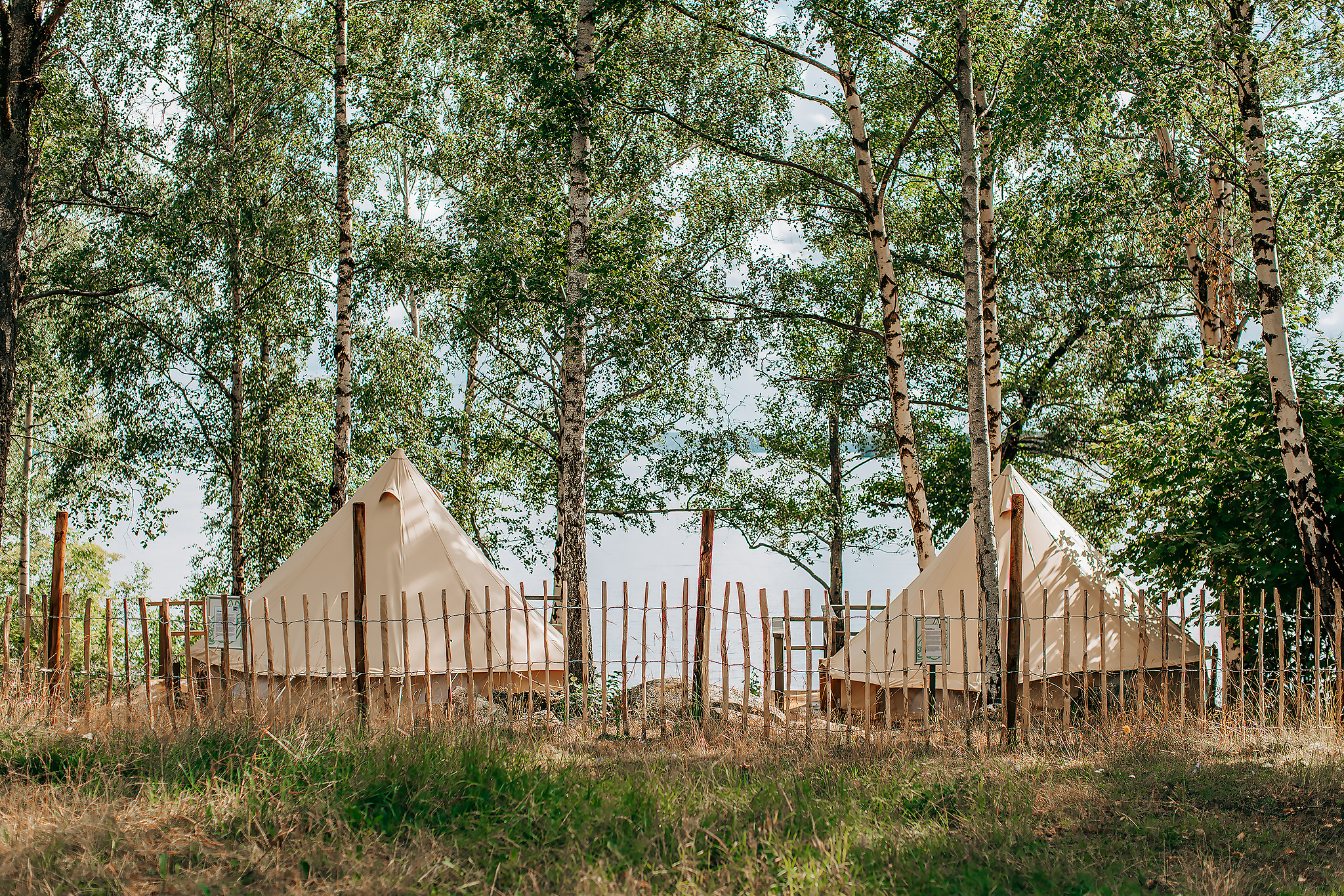 Glamping på världsarvet Birka​