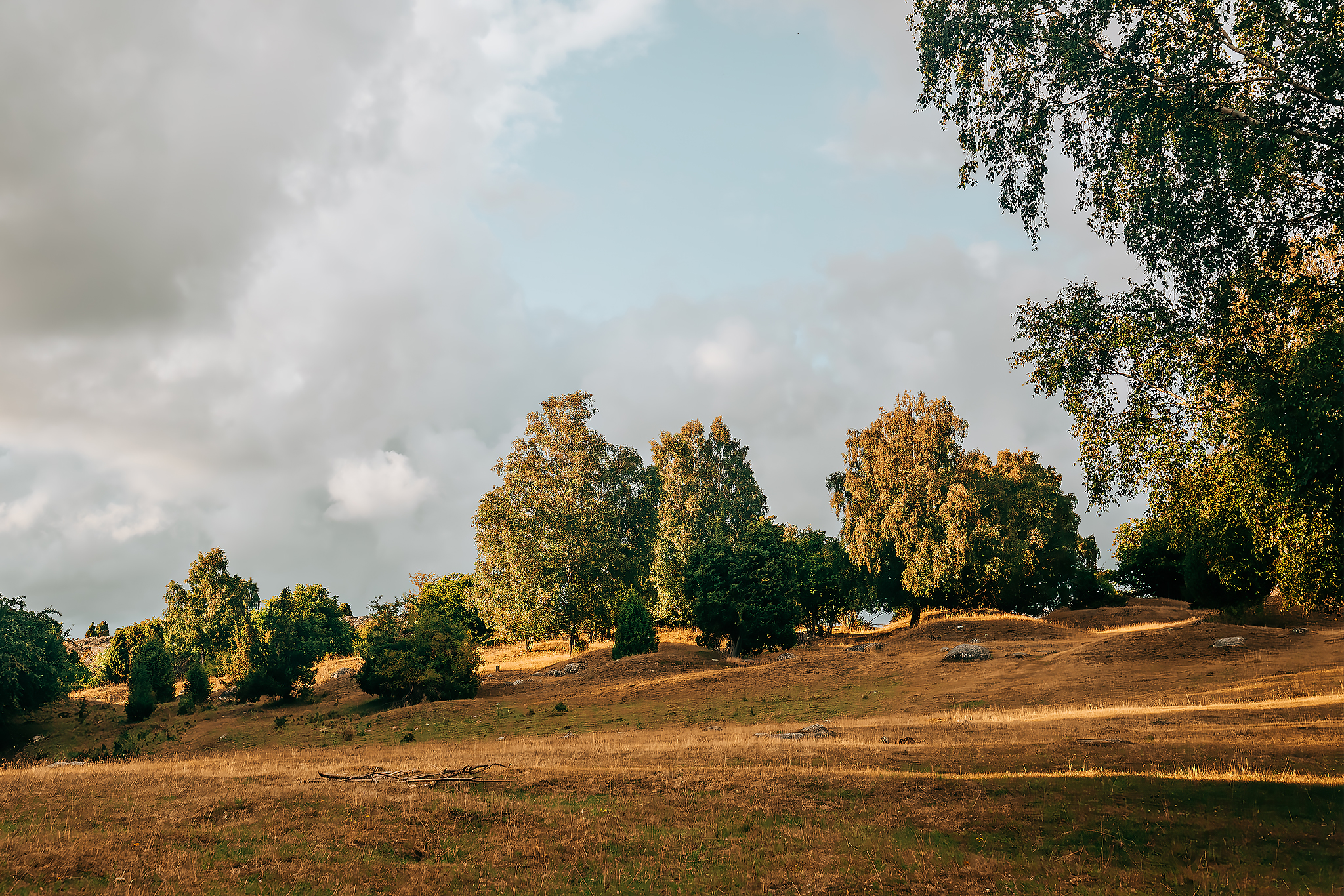 Kvällspromenad till Björkö by​