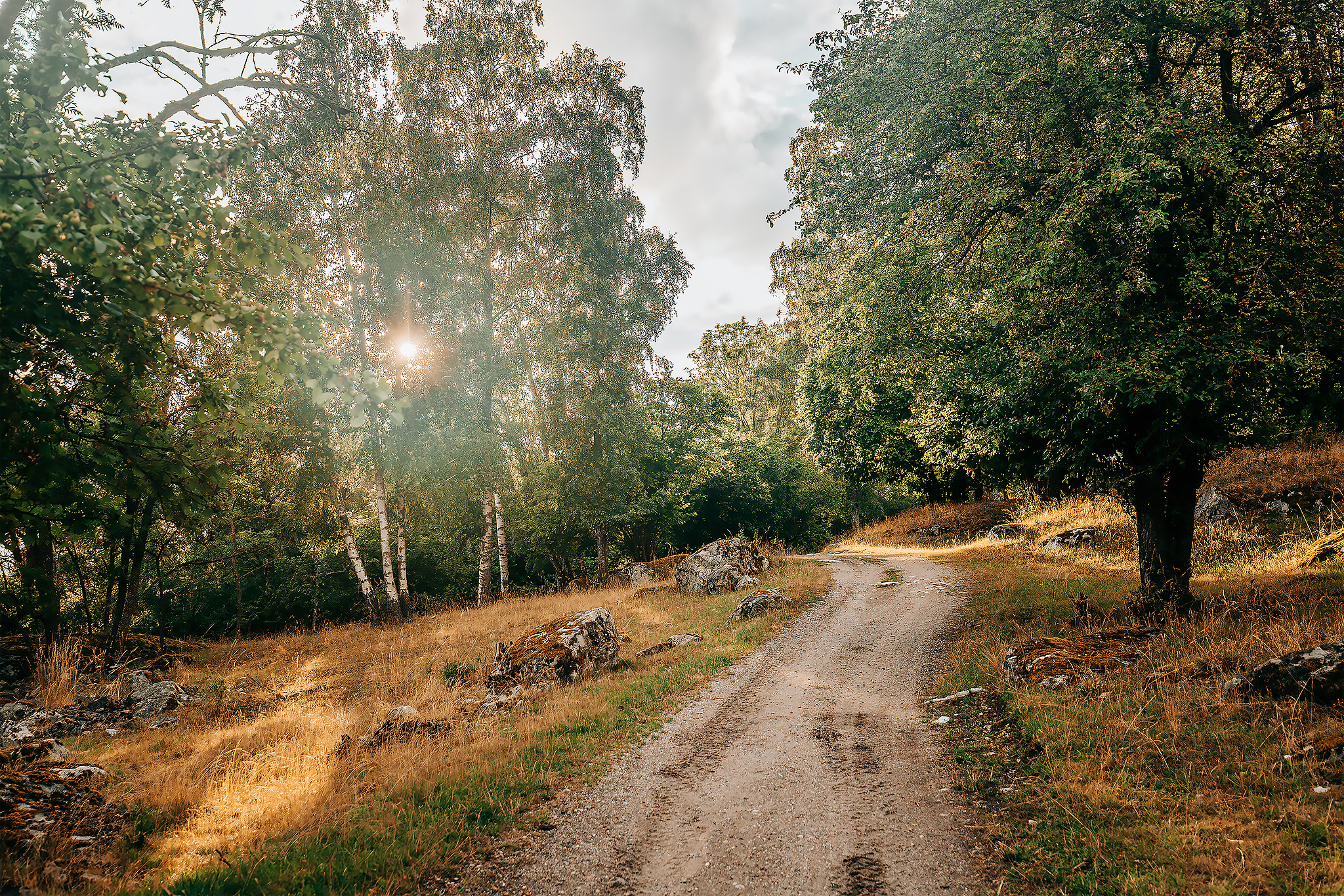 Kvällspromenad till Björkö by​