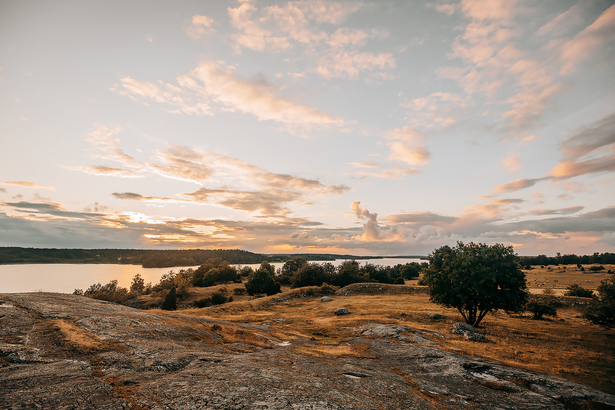 Ansgarskorset på Borgberget​