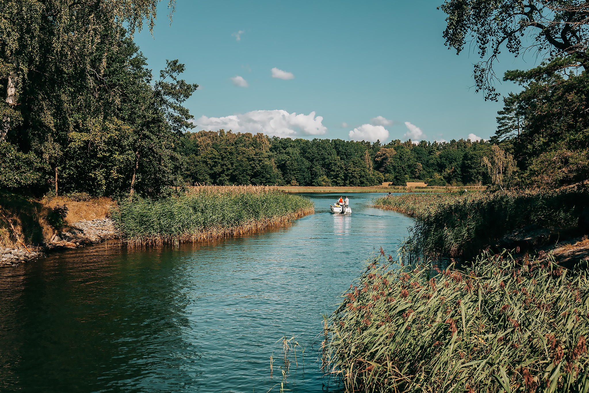 Strömma Kanal med M/S Strömma Kanal​