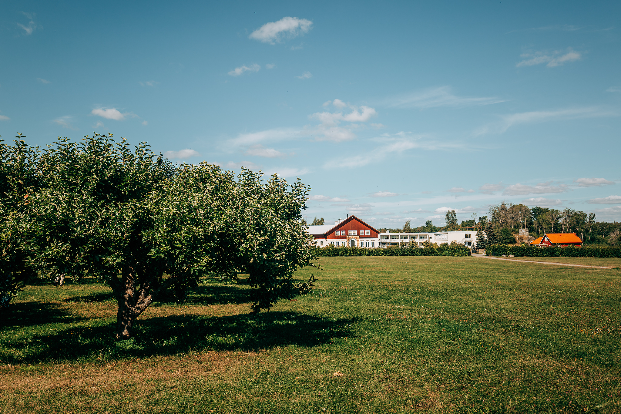 Äppelträdgården vid Skokloster slott​