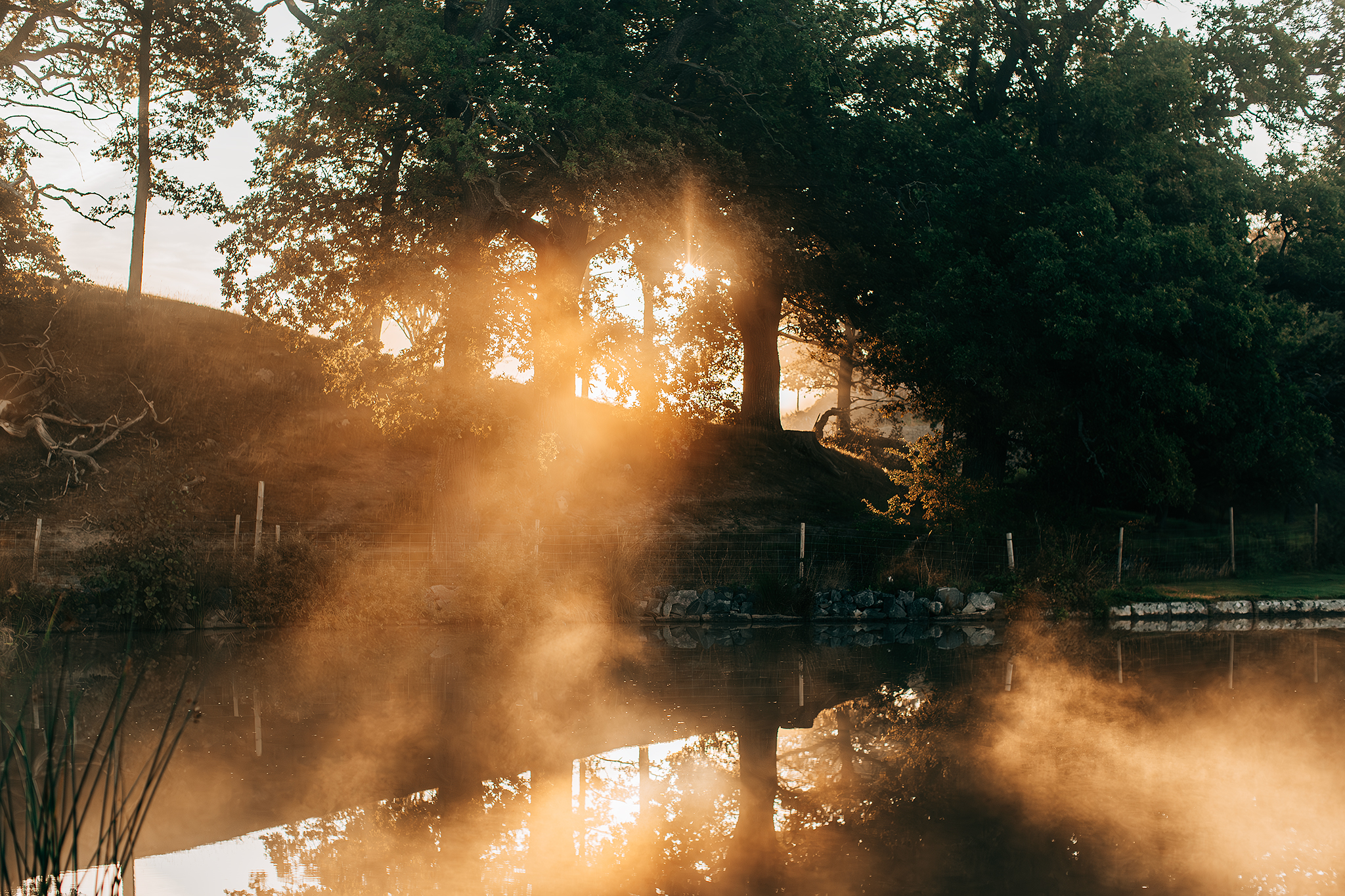 Magisk morgon vid Göta kanal​