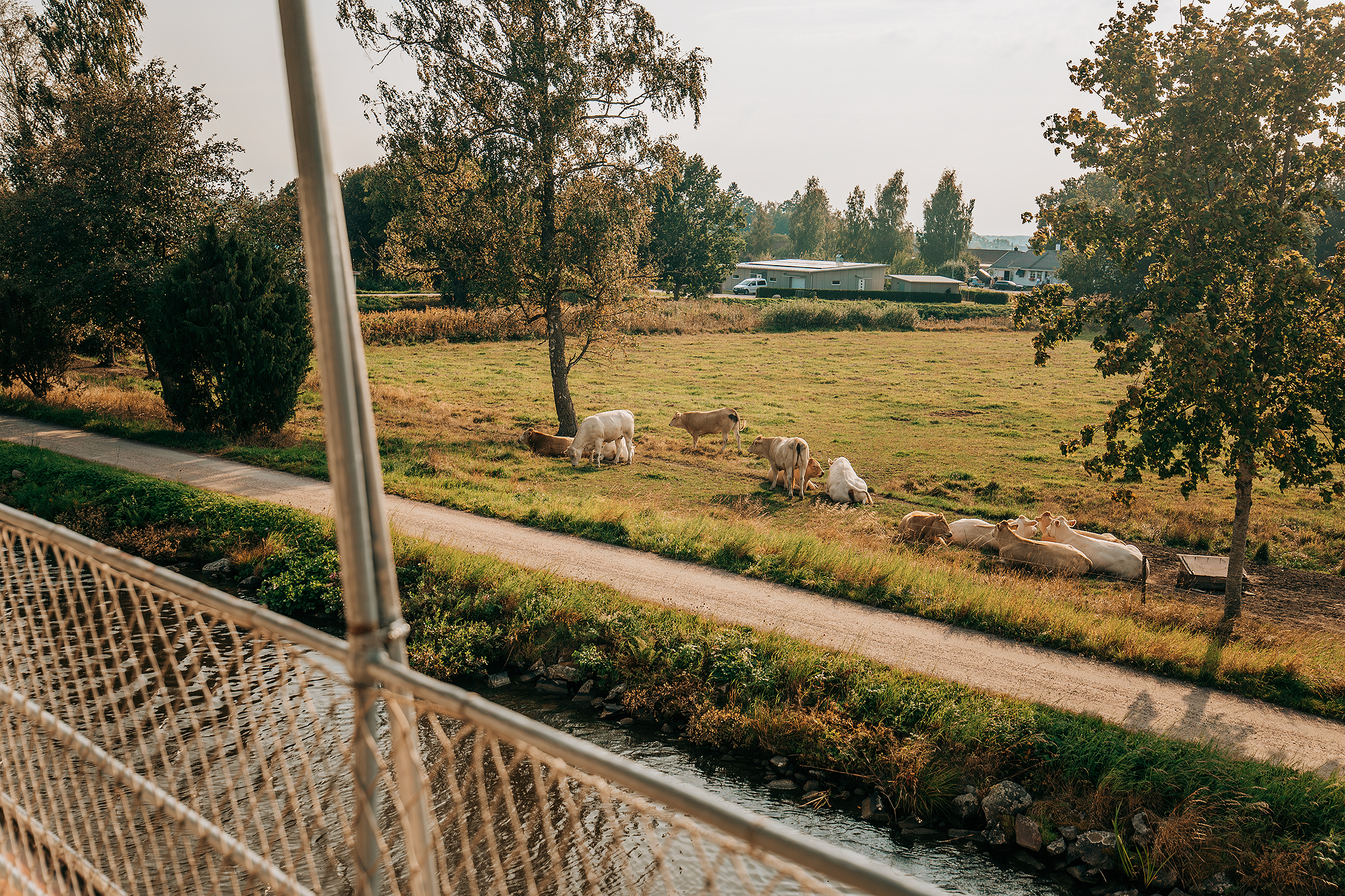 Töreboda och världens minsta linfärja​