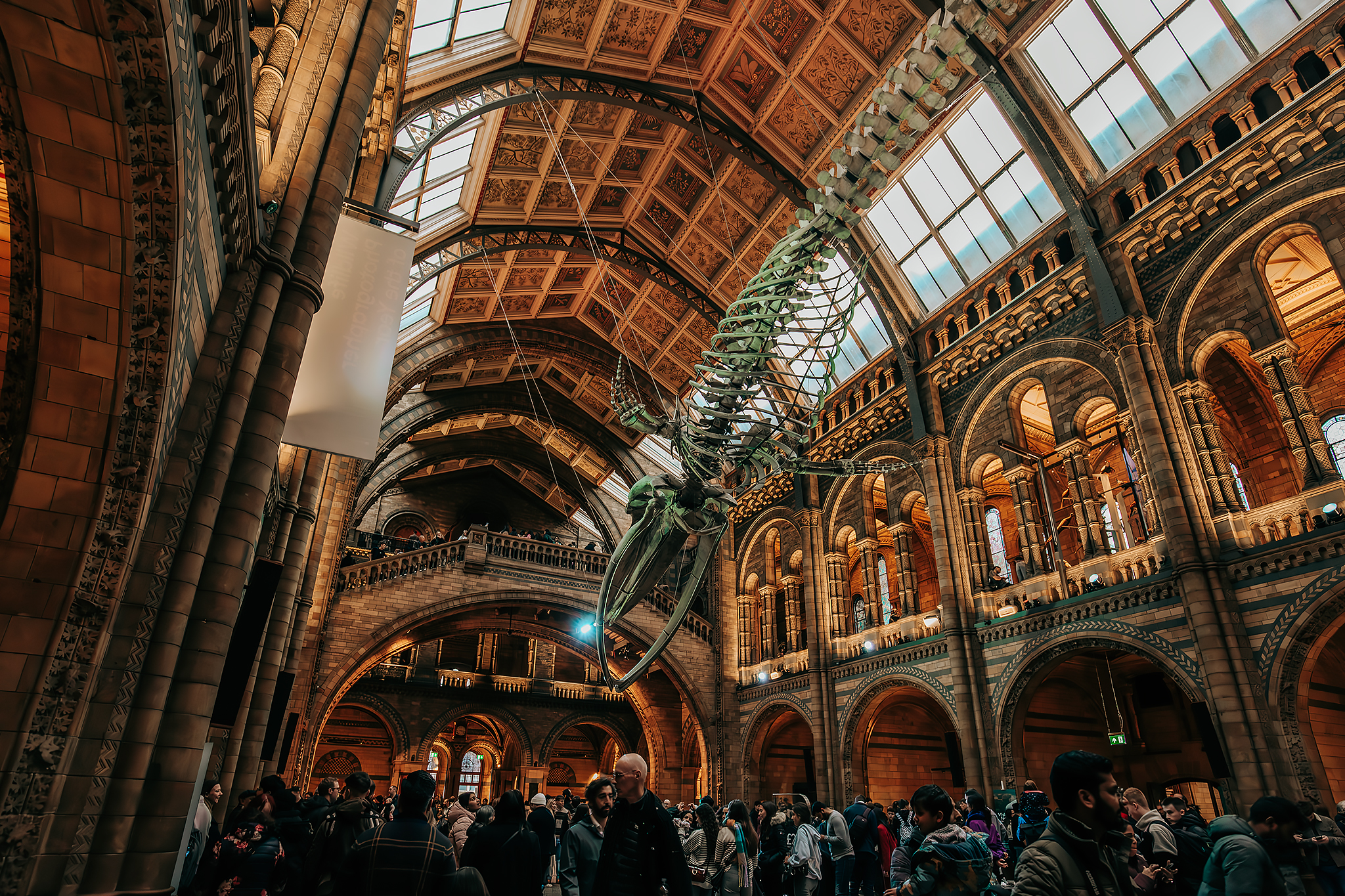 The Natural History Museum​