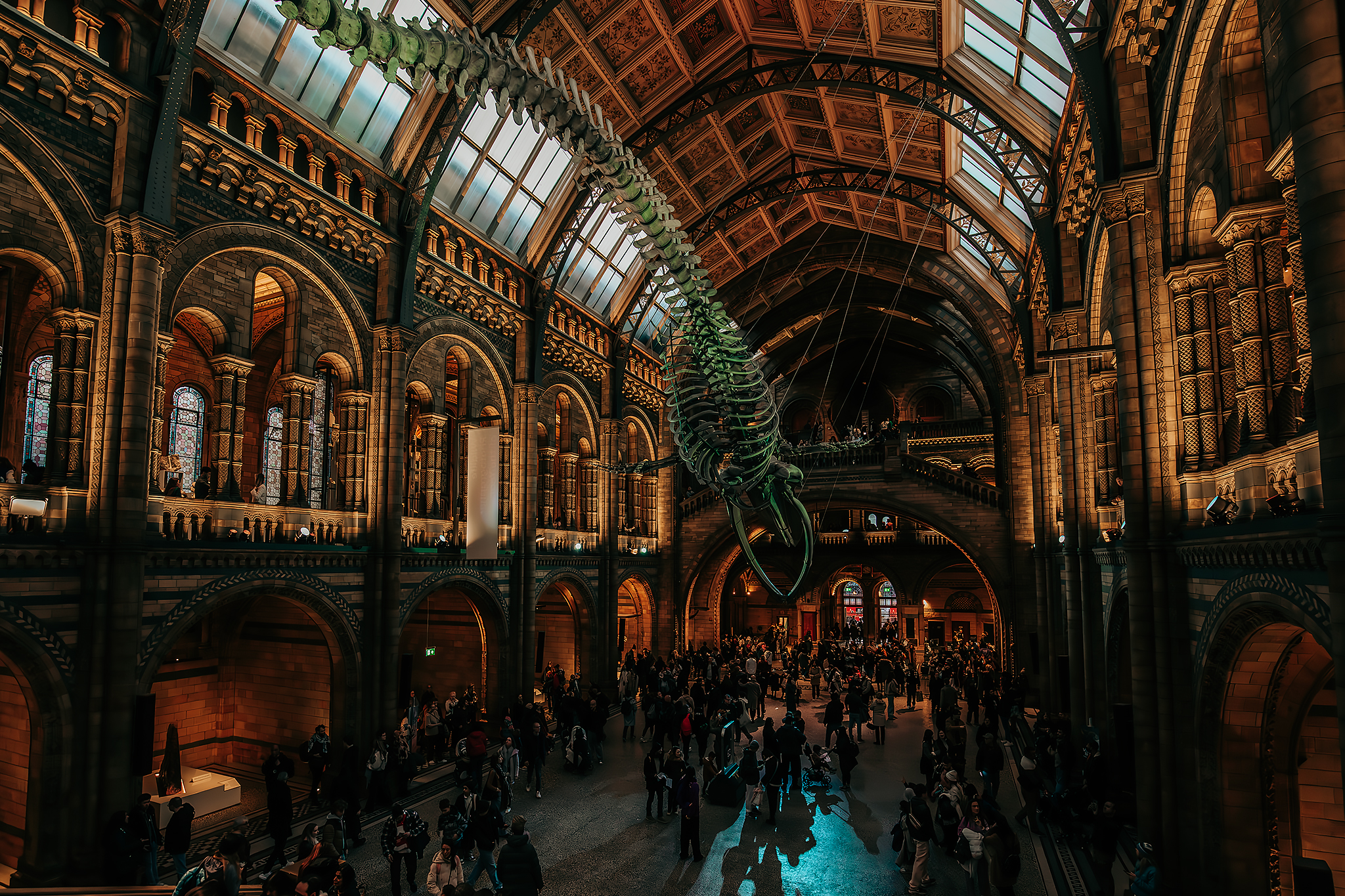 The Natural History Museum​