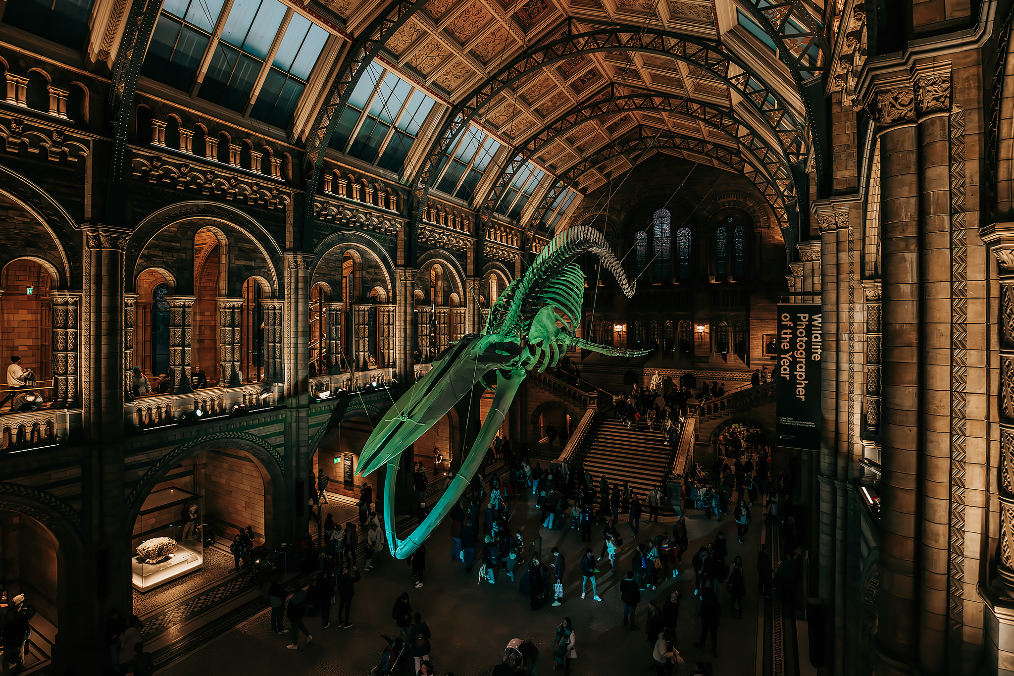 The Natural History Museum​