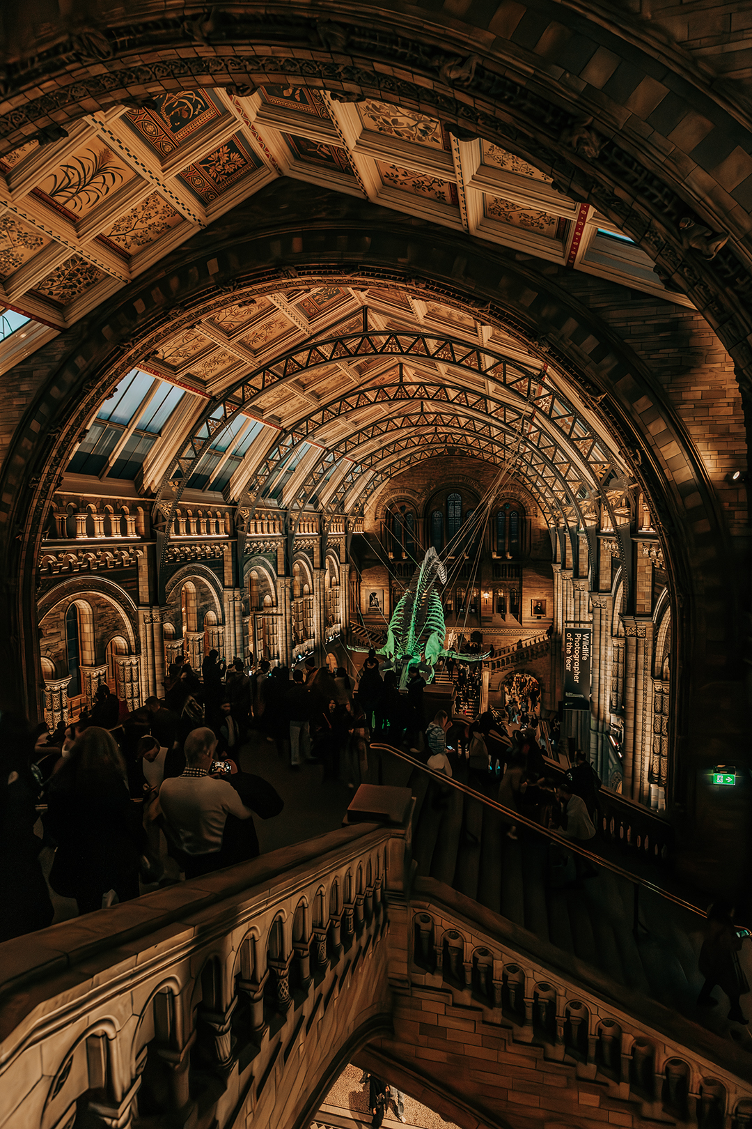 The Natural History Museum​