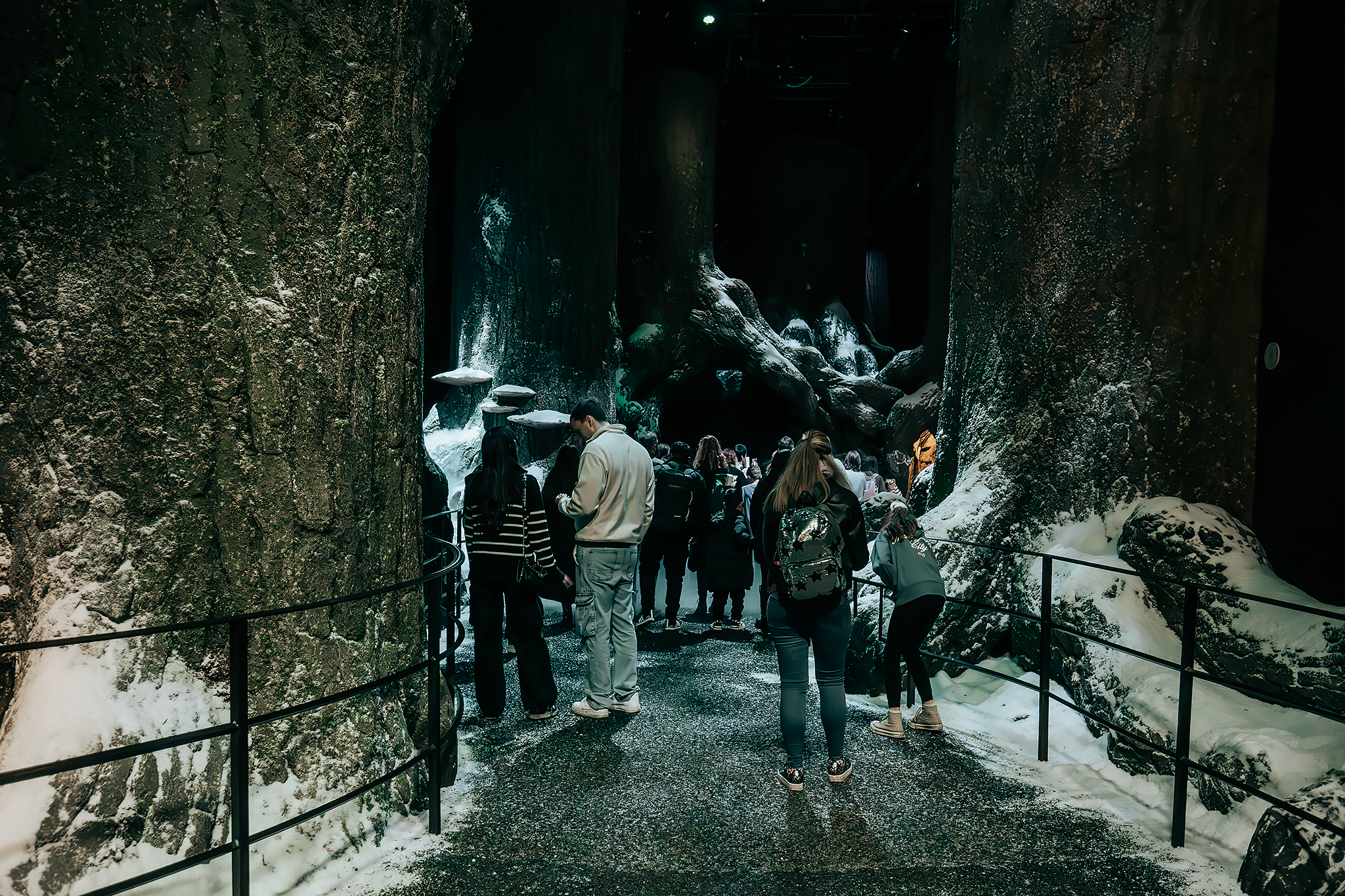 The Forbidden Forrest på Warner Bros. Studio Tour​