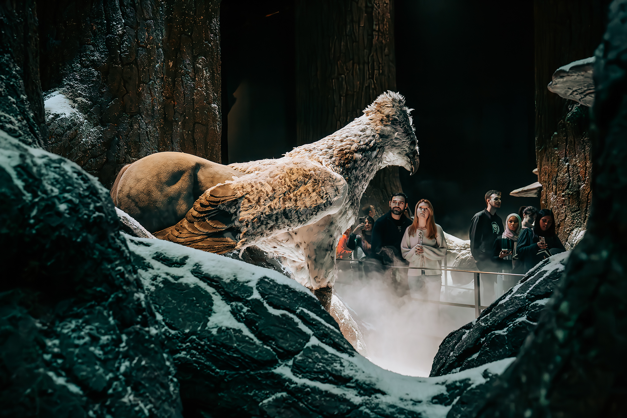 The Forbidden Forrest på Warner Bros. Studio Tour​