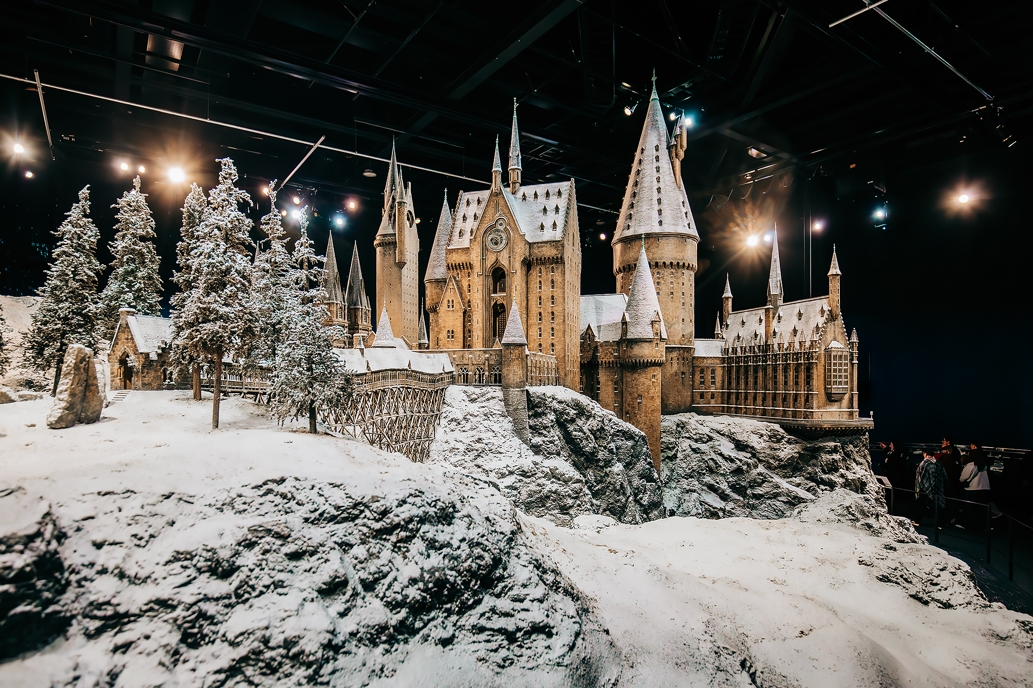 Hogwarts in the Snow​